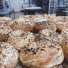 Load image into Gallery viewer, Dave&#39;s Bagels Authentic New York bagels right here in Memphis !(Asst Flavors)
